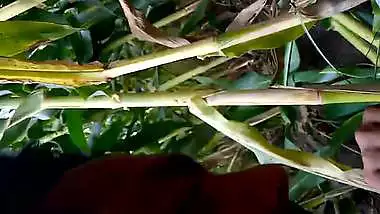 Outdoor desi sex MMS of busty milf fucking her nasty lover